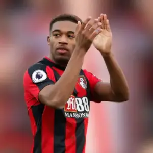 Борнмут одержал победу над Вулверхэмптоном в 24-м туре АПЛ. Итог матча 0-2