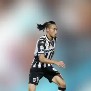 Анже одержал победу над Тулузой в 21-м туре Лиги 1. Итог матча 1-0