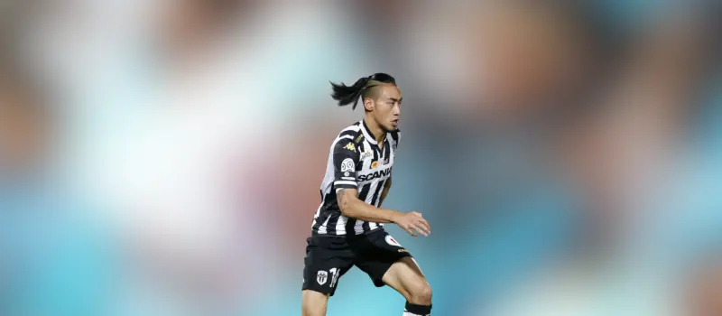 Анже одержал победу над Тулузой в 21-м туре Лиги 1. Итог матча 1-0