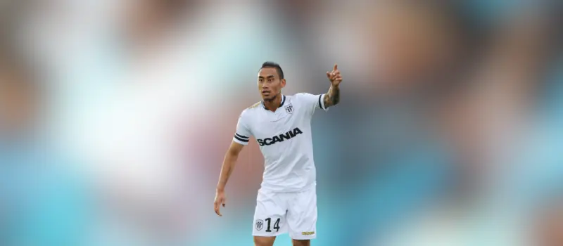 Анже одержал победу над Мецом в 20-м туре Лиги 1. Итог матча 1-0