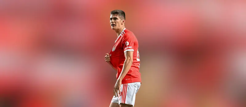 Бенфика одержала победу над Жил Висенте в 24-м туре Примейры. Итог матча 1-2