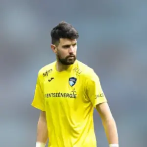 Ничья между Гавром и Осером в 28-м туре Лиги 1. Итог матча 1-1