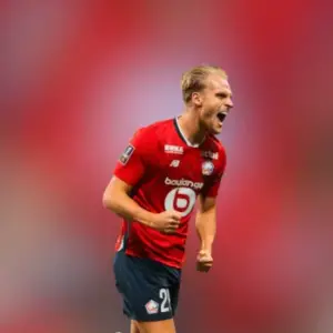 Лилль одержал победу над Лансом в 28-м туре Лиги 1. Итог матча 3-0