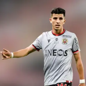 Ничья между Ниццой и Гавром в 29-м туре Лиги 1. Итог матча 1-1